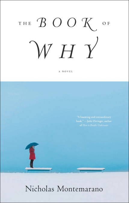 The Book of Why