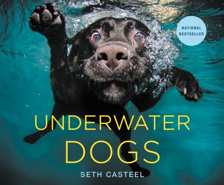 Underwater Dogs