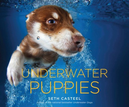 Underwater Puppies