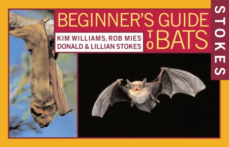 Stokes Beginner’s Guide to Bats