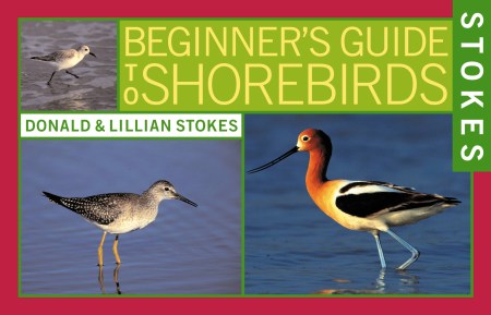 Stokes Beginner’s Guide to Shorebirds