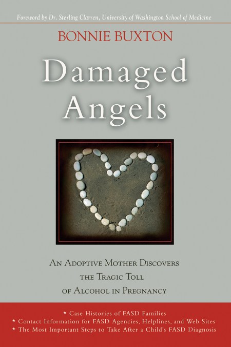 Damaged Angels