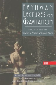 Feynman Lectures On Gravitation