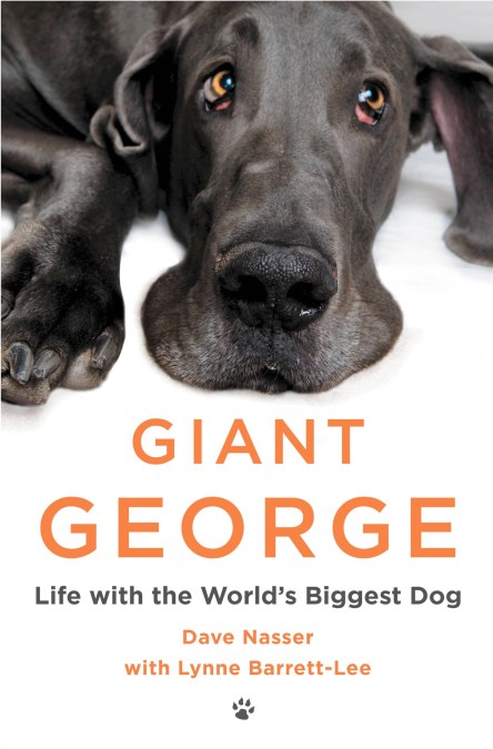 Giant George