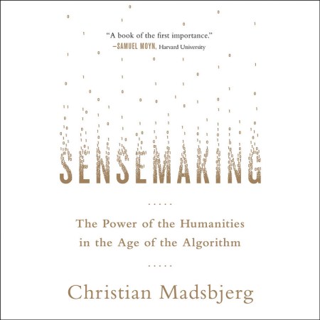 Sensemaking