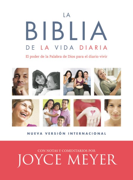 La Biblia de la vida diaria, NVI