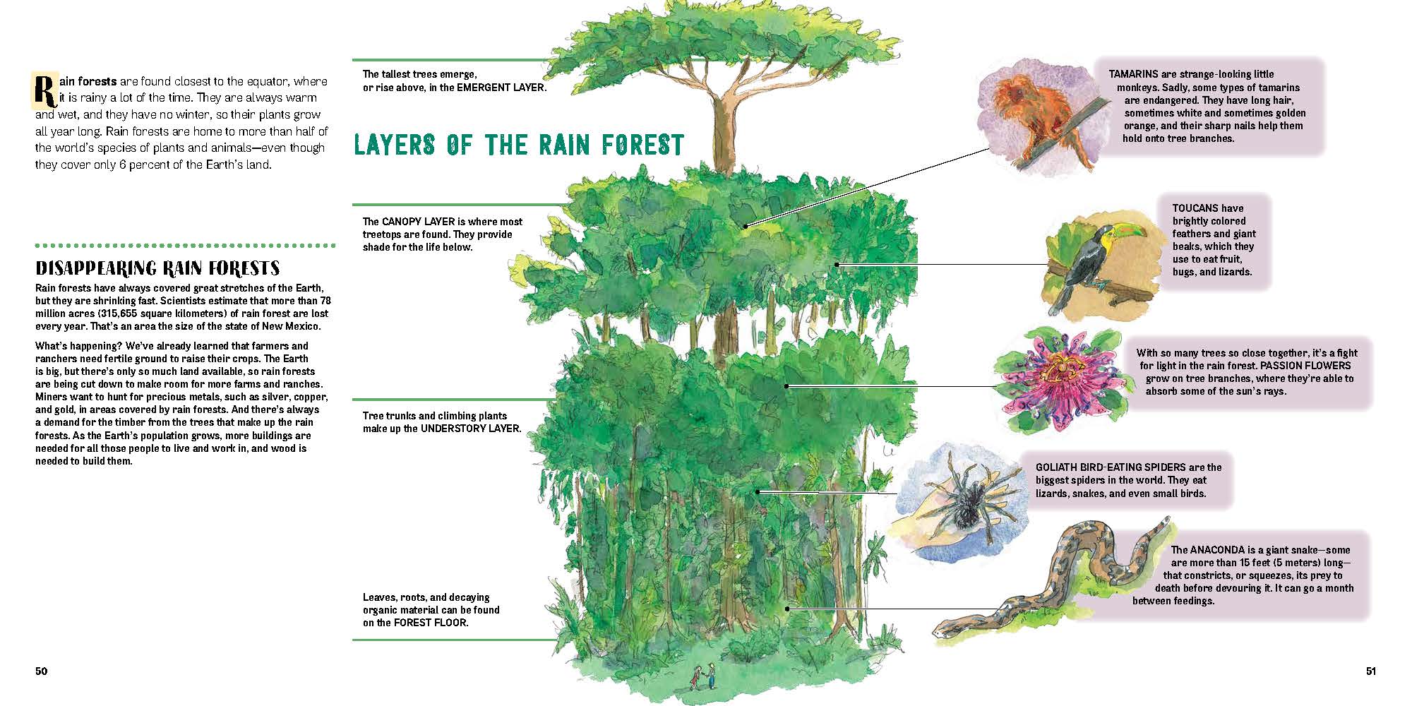 Sample Spread for A Child's Introduction to the Environment