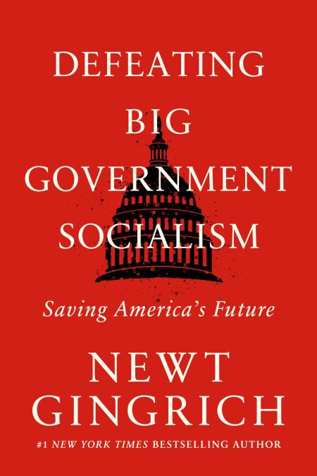 Defeating Big Government Socialism