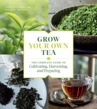 Grow Your Own Tea