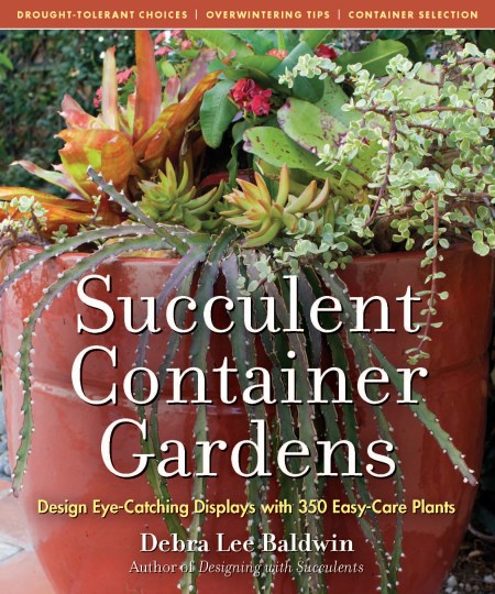 Succulent Container Gardens