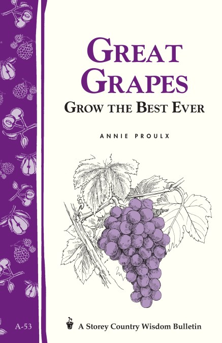 Great Grapes