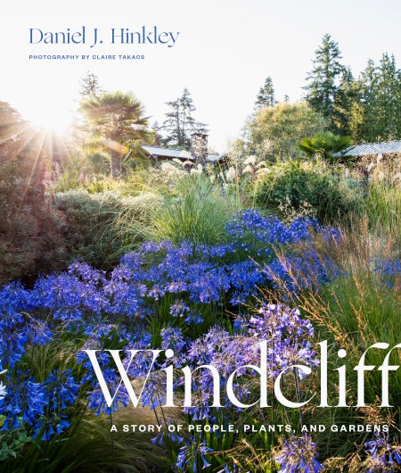 Windcliff