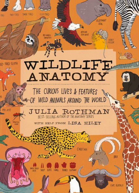 Wildlife Anatomy