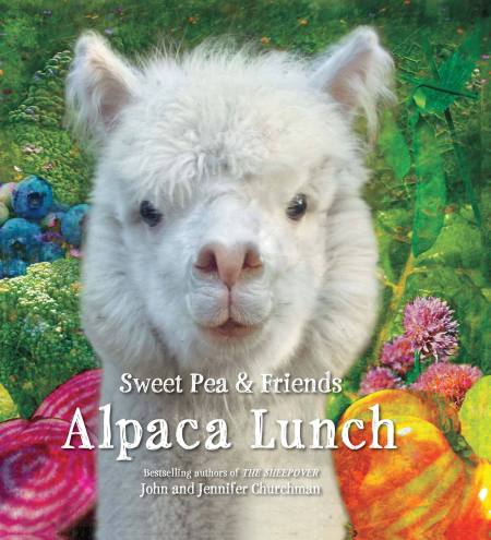 Alpaca Lunch