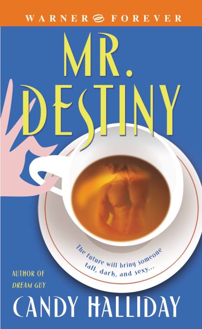 Mr. Destiny