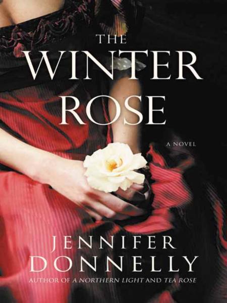 The Winter Rose