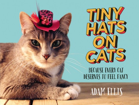 Tiny Hats on Cats