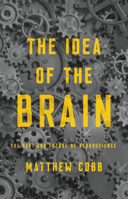 The Idea of the Brain