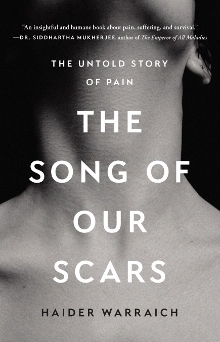 The Song of Our Scars