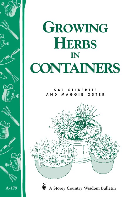 Growing Herbs in Containers