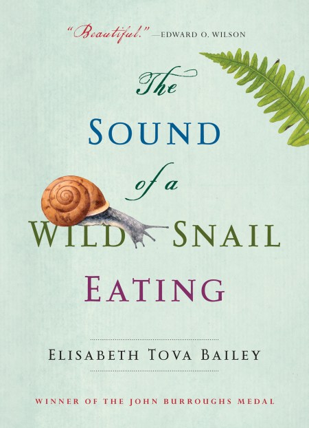 The Sound of a Wild Snail Eating