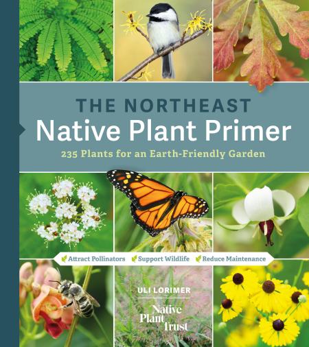 The Northeast Native Plant Primer