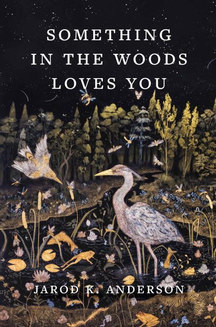 Book cover image of Something in the Woods Loves You by Jarod K. Anderson.