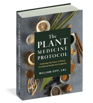 The Plant Medicine Protocol