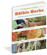 The Beginner’s Guide to Edible Herbs