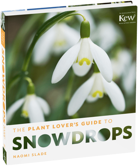 The Plant Lover's Guide to Snowdrops