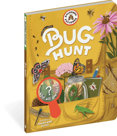 Backpack Explorer: Bug Hunt