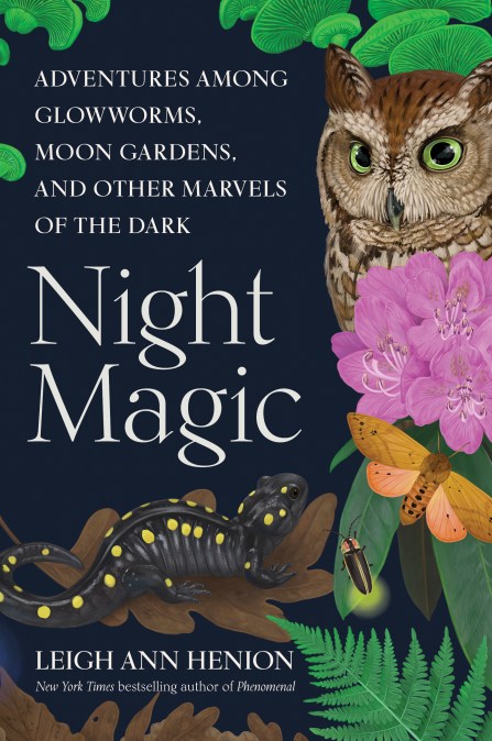 Night Magic by Leigh Ann Henion