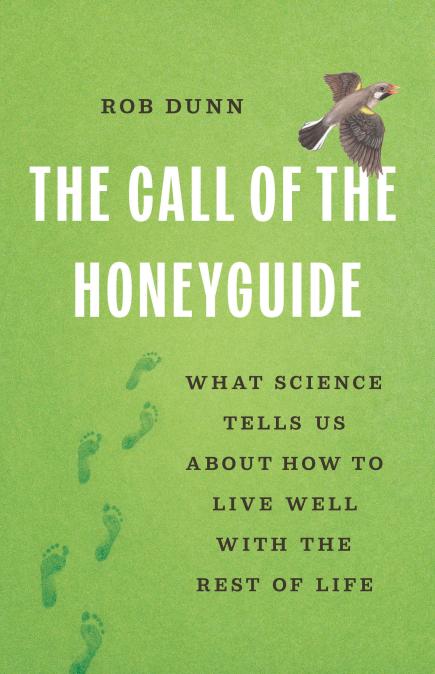 The Call of the Honeyguide