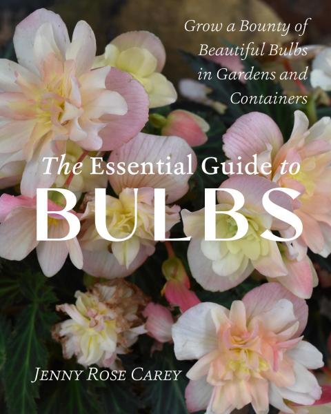 The Essential Guide to Bulbs